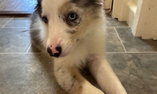 二甲双胍瓶装价格-二甲双胍价格多少一瓶专区_二甲双胍格列本脲说明书专区_二甲双胍河北产说明书网